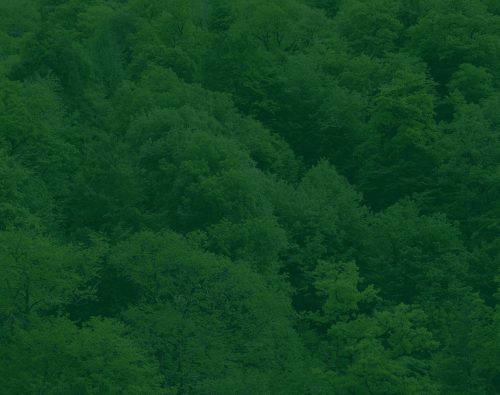 bg_slide